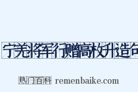 宁羌将军行赠高枚升造句是什么意思的图片